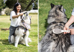 Cepillos para Mascotas Laika