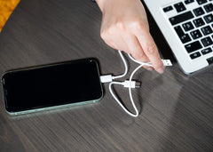 Set de Cables Frenzy