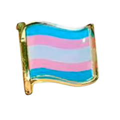 Pin Clasico Bandera
