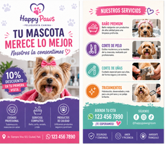 VOLANTES - FLYERS PUBLICITARIOS IMPRESOS POR LAS 2 CARAS*